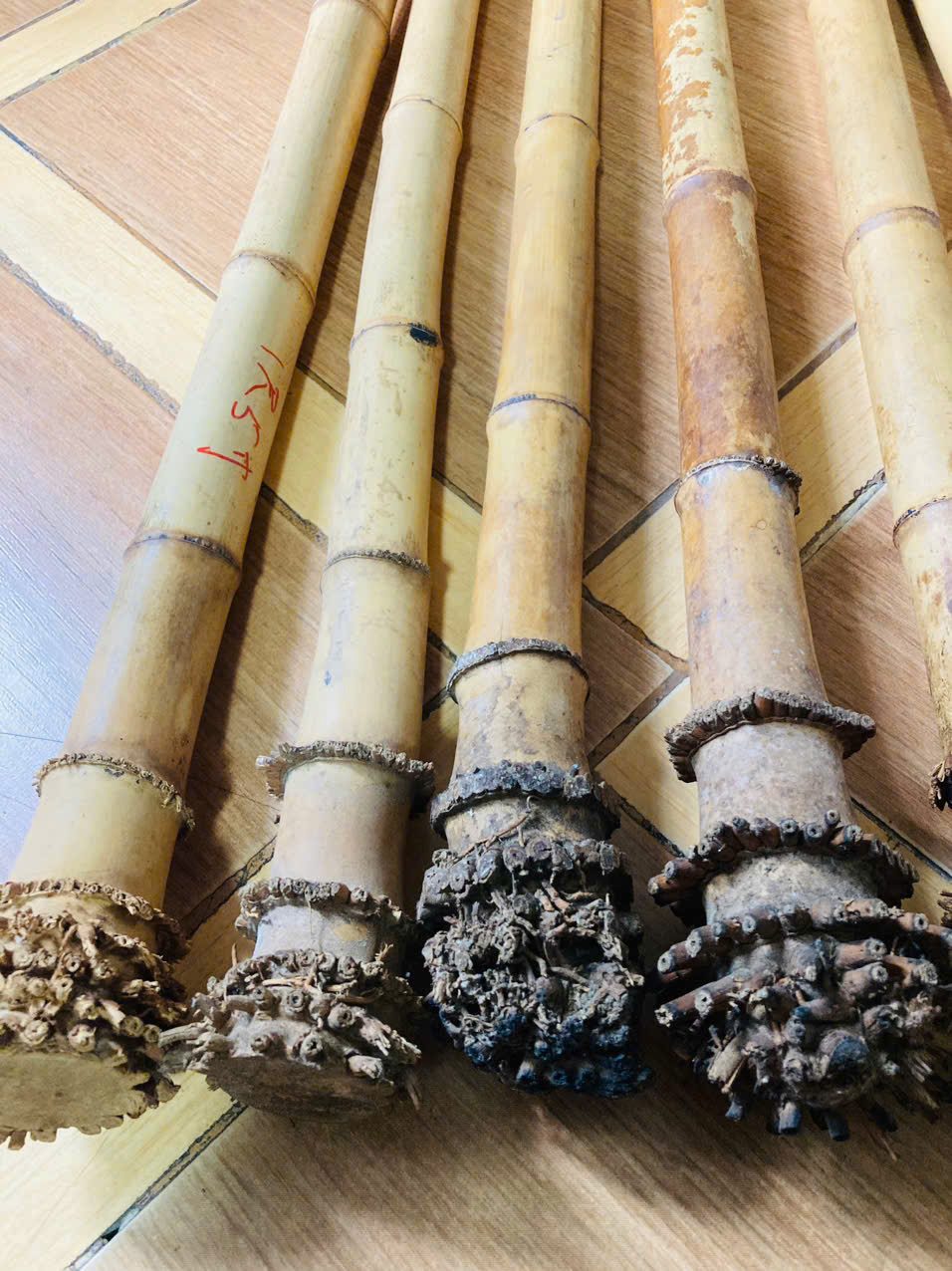Madake Bamboo for Shakuhachi making, photo 3